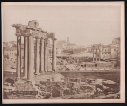                   Foro Romano
              