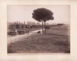                   Roma - Via Appia Nuova -...
              