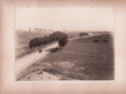                   Roma - Acquedotti
              