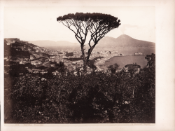                   Napoli - Panorama
              