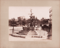                   Palermo - Piazza Marina
              