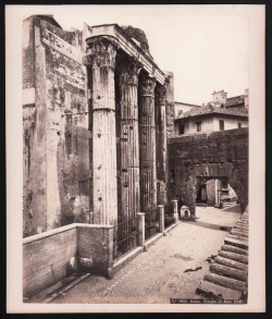                   Roma - Tempio di Mars Ultor
              