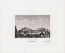                   Forum Romanum - Campo Vaccino
              