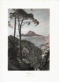                   Capri
              